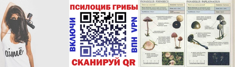 Купить где  Новотитаровская  Галлюциногенные грибы GOLDEN TEACHER 